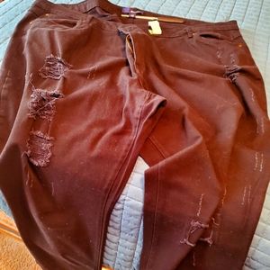 Women's Plus-Sized Jeans